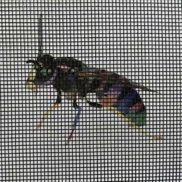 KS = Klarsichtgewebe anthrazit | 1,18 x 1,18mm | 50m Rolle | Breite 1400mm