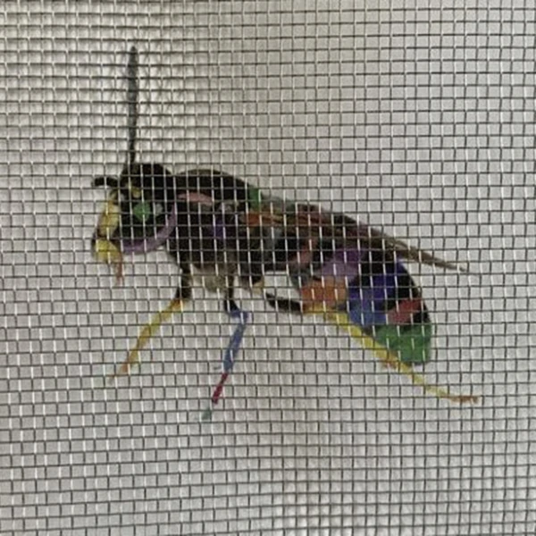 ES = Edelstahlgewebe silber | 1,41 x 1,41mm | 12,5m Rolle | Breite 1500mm