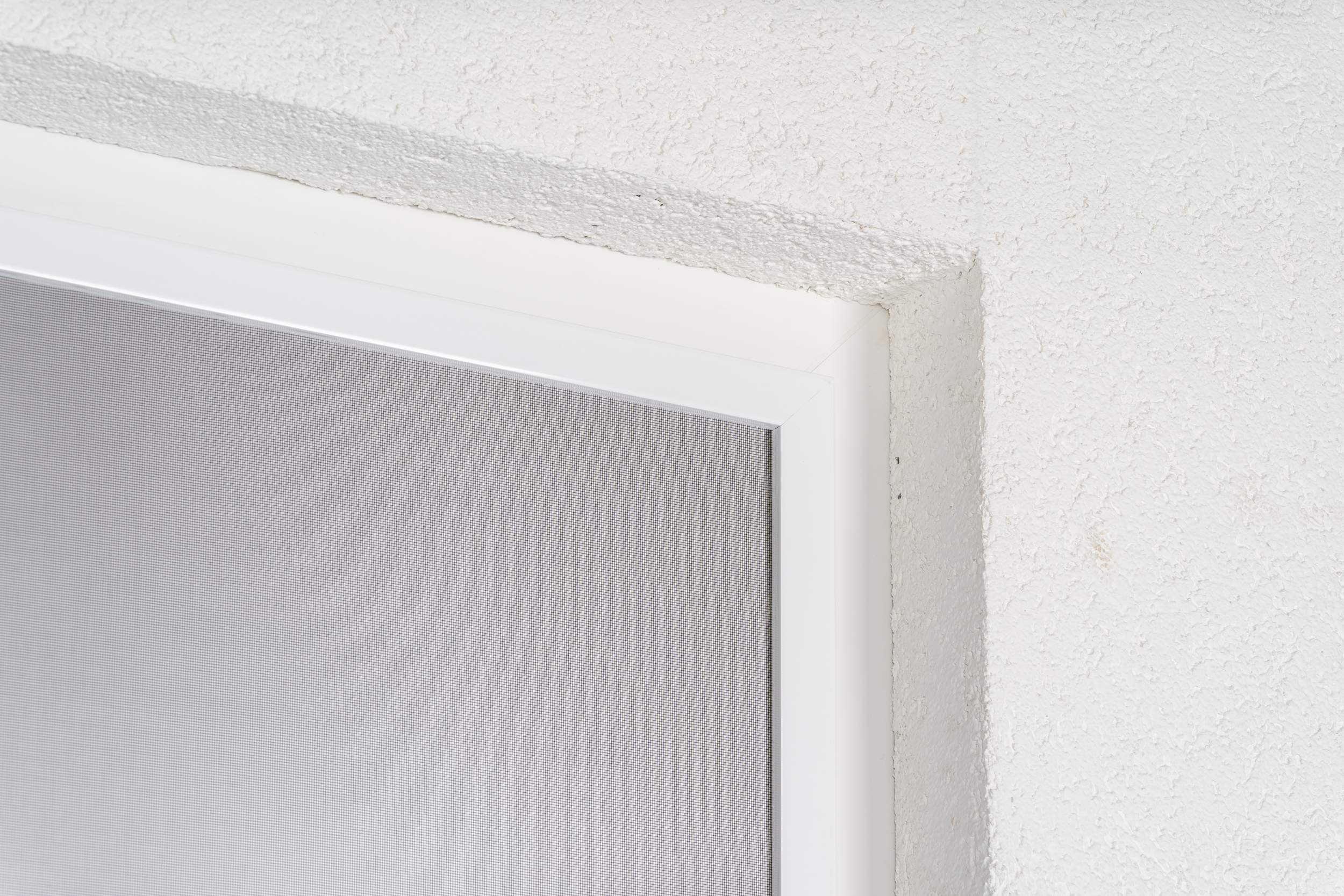 Kopie von Drehtür | DT 10-1 - Die Klassische mit Bürste unten #1