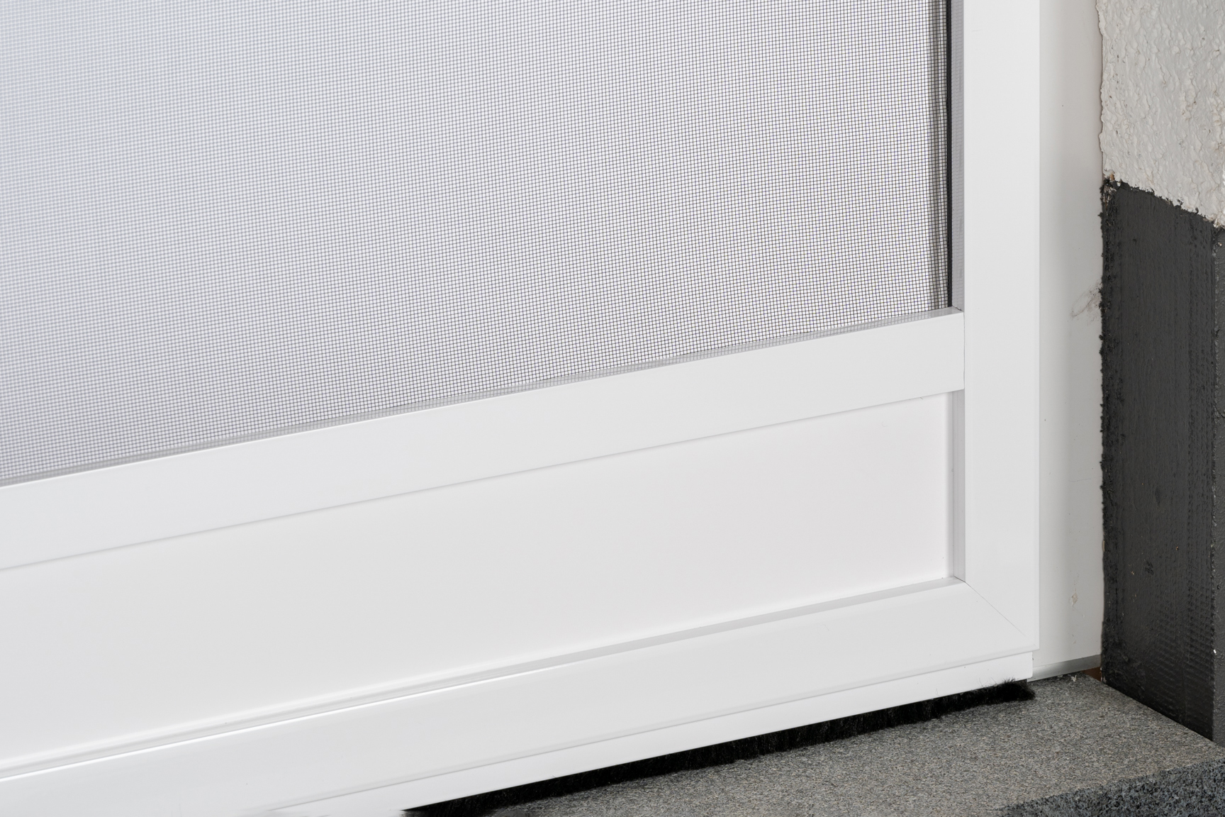 Kopie von Drehtür | DT 10-2 - Die Klassische mit Bürste unten & oben #1